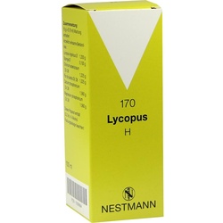 Lycopus H 170 100 ML