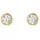 Steel_art Ohrstecker Elin gold 2013796 onesize