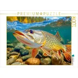 Calvendo Puzzle Ein kapitaler Hecht 1000 Teile Lege-Größe 64x48cm Foto-Puzzle für glückliche Stunden