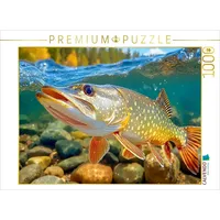 Calvendo Puzzle Ein kapitaler Hecht 1000 Teile Lege-Größe 64x48cm Foto-Puzzle für glückliche Stunden