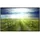 Papermoon Infrarotheizung Landschaft Meer und Sonne 600 W bunt