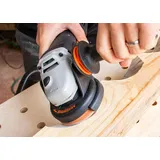 Arbortech Schleifteller 100 mm
