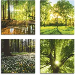 Artland Leinwandbild »Wald Bach Frühling Windrosen Sonne Baum«, Wald, (4 St.), 4er Set, verschiedene Größen Artland Farbe Bild(er): grün
