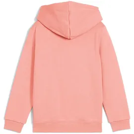 Puma Essentials No. 1 Logo Fleece Hoodie Jungen 18 pink fruit 98