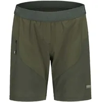 Maloja FanesM. alpine woods (8958) M