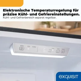 Exquisit KGC5400-130-NF-040D Kühl-Gefrierkombination (400 l, 1860 mm hoch, Grau)