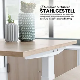 bümö Schreibtisch XBHM Nussbaum / Graphit