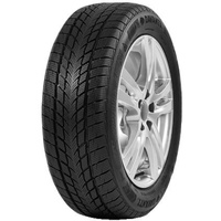 Davanti Wintoura 195/55 R16 91H Winterreifen