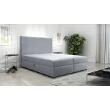 Kontinentales Bett 180x200 cm für Schlafzimmer Dream 180 Bonellfedern 2x Bettzeugkasten Grau Monolith 84 - Grau