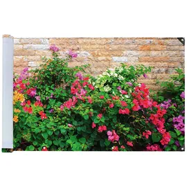 Maximex Zaunblende 500 x 35 cm Blumen Kunststoff
