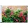Maximex Zaunblende 500 x 35 cm Blumen Kunststoff