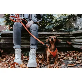 Hunter Geschirr Hilo XS-S orange