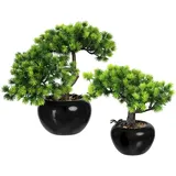 Creativ green Kunstbonsai »Bonsai Lärche«, im Keramiktopf, 2er Set grün