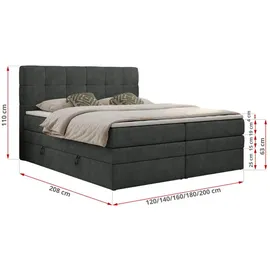 MKS Meble Boxspringbett mit Bettkasten ¦ grau ¦ Maße (cm): B: 140 H: 110
