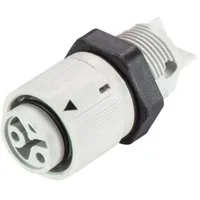 Wieland 46.031.5054.0 Rundstecker Buchse, Einbau Serie (Rundsteckverbinder): RST® MINI