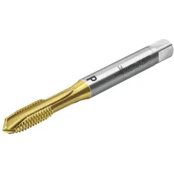 WALTER Maschinengewindebohrer Prototex X-pert P - M 6