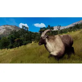 Way of the Hunter (Wild Expeditions) - Microsoft Xbox Series X - Jagd - PEGI 16