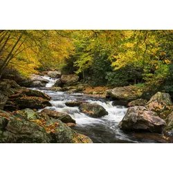 Fototapete PAPERMOON "Wald Landschaft", bunt, B:3,50m L:2,60m, Vlies, Tapeten