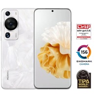P60 Pro 8 GB RAM 256 GB rococo pearl Test & Preisvergleich