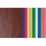 Folia Transparentpapier 42 g/m2 100 Bogen 50 x 70 cm farbig sortiert