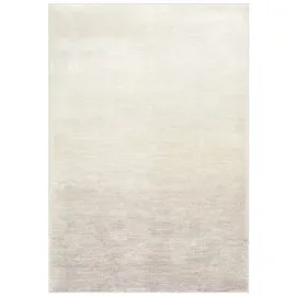 Idimex Teppich OMBRE, Wohnzimmerteppich 200x300cm Kurzflor, waschbar mit Ombre-Design braun braun 200 cm x 300 cm