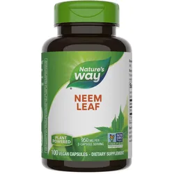 Neem Blatt