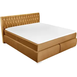 LEONIQUE Boxspringbett LEONIQUE "Rumba", gold (goldfarben), B:190cm L:213cm, Samtoptik (100% Polyester), Komplettbetten, Boxspringbett Seniorenbett Polsterbett, Taschenfederkern-Matratze in Härtegrad 3, in 4 Breiten, incl. Topper