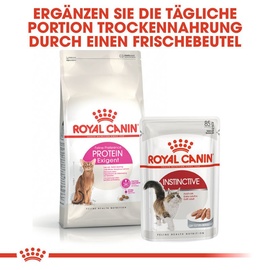Royal Canin Protein Exigent 10 kg