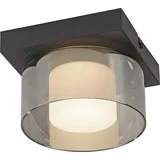 Paul Neuhaus Deckenleuchte RIKA Ø 15 cm, Glas, dimmbar