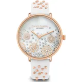 Daisy Dixon DD111WRG Edelstahl 38 mm