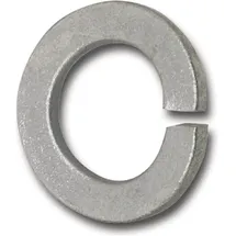 OEM Federring Din 128 A 5 Federstahl Mechanisch Verzinkt