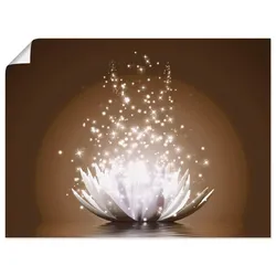 Wandbild ARTLAND "Magie der Lotus-Blume", braun (farbe bild(er): braun), B:60cm H:45cm, Papier, Bilder, als Leinwandbild, Poster, Wandaufkleber in verschied. Größen