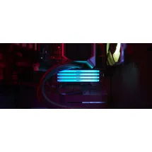 Kingston FURY Beast RGB
