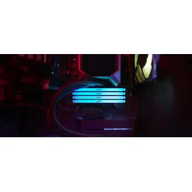 Kingston FURY Beast RGB