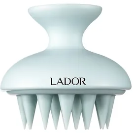 Lador Dermatical Shampoo Brush 1 Stk.)