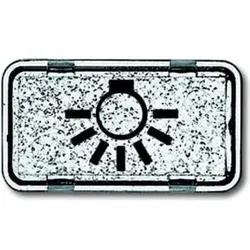 Busch-Jaeger Tastersymbol Licht 2622 LI-101