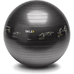 Schweizer Fitness Ball SKLZ Trainer Ball SCHWARZ No Size