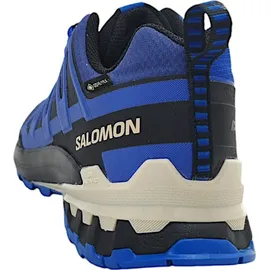 Salomon XA Pro 3D V9 GTX Herren Blue Print/Surf The Web/Lapis Blue 42