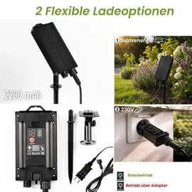 OEM Lichterkette Kunststoff 15 m 30 LEDs inkl. Fernbedienung schwarz