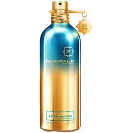 Montale Aoud Lagoon Eau de Parfum 100 ml