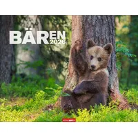 Weingarten Bären Kalender 2026 / Weingarten / Kalender