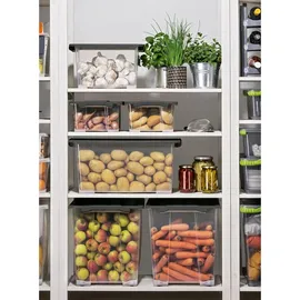 Rotho Aufbewahrungsbox Evo Safe Keeping 59,0 x 39,5 x 41,2 cm 1-tlg. grau