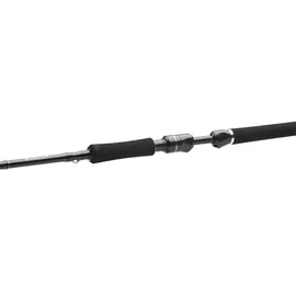 Westin W3 Powercast 3Rd Xxh 40-130g 2Sec Raubfischrute