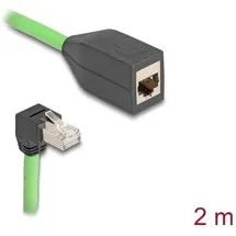DeLock RJ45 Netzwerk Verlängerungskabel Cat.6A Stecker unten gewinkelt zu Buchse SF/UTP 2 m, grün
