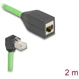 DeLock RJ45 Netzwerk Verlängerungskabel Cat.6A Stecker unten gewinkelt zu Buchse SF/UTP 2 m, grün