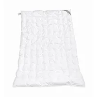 Betten Hofmann Daunenbettdecke Betten Hofmann Franken Sommer Daunendecke Punktstepp 155x220 cm Gänsed, Füllung: 100% Daunen, Bezug: 100% Baumwolle, für den Sommer, hergestellt in Deutschland, allergikerfreundlich weiß