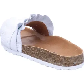 Verbenas Rocio Roda blanco 41