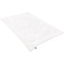 IRISETTE Noblesse Duo Winterbettdecke - Produziert in Deutschland - Steppbett mit Bezug aus reiner Baumwolle, 155 x 220 cm, Öko-Tex zertifiziert