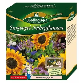 Quedlinburger Singvogel Nährpflanzen