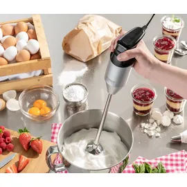 CASO Design HB 2400 Pro XL Stabmixer